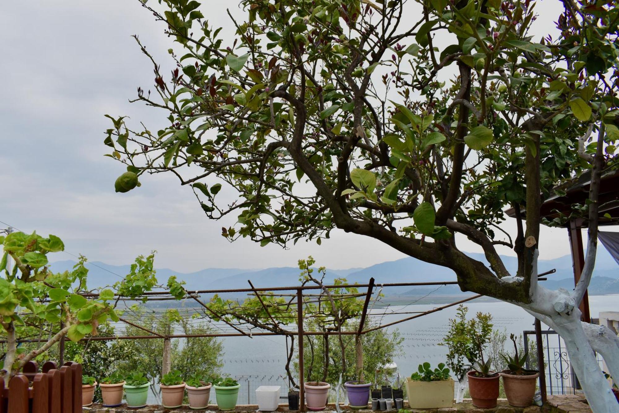 Ksamil Sea&Lake View Escape Dış mekan fotoğraf